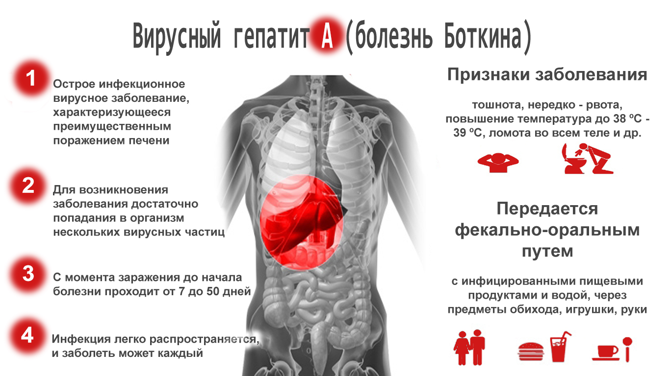 Самарская городская клиническая больница №8 Новости - Гепатит А