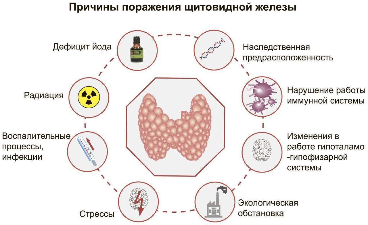 Самарская городская клиническая больница №8 Новости - Неделя профилактики  заболеваний эндокринной системы (в честь Всемирного дня щитовидной железы  25 мая)