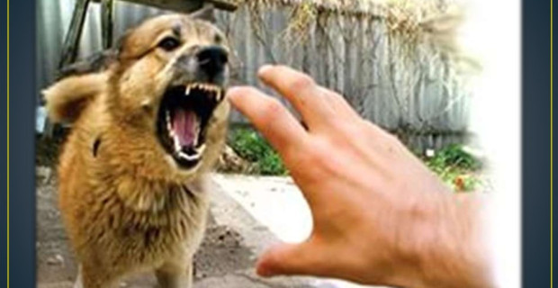 Разъясняет прокуратура Кировского района г. Самары. 