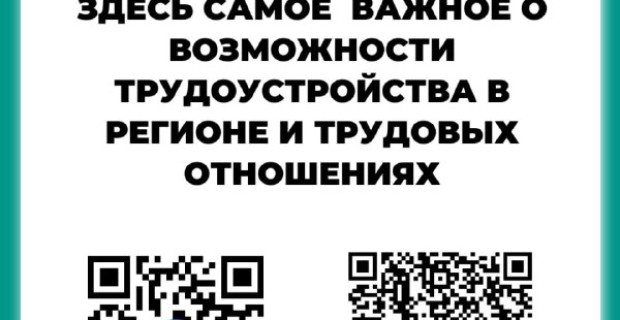 Подписывайтесь и узнавайте самую актуальную информацию в сфере занятости и трудовых отношений на официальных ресурсах министерства труда, занятости и миграционной политики Самарской области