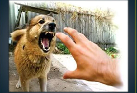 Разъясняет прокуратура Кировского района г. Самары. 