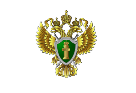 Прокуратурой Кировского района г. Самары поддержано государственное обвинение по уголовному делу в отношении президентом Самарской региональной общественной организации «Федерации кёрлинга Самарской области»