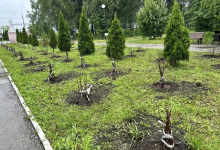 Цветущая забота для наших пациентов и сотрудников